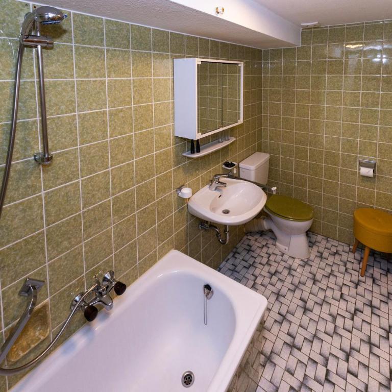 Goldiger Hirsch Pension mit Gemeinschaftsküche - Doppelzimmer mit Balkon - 6