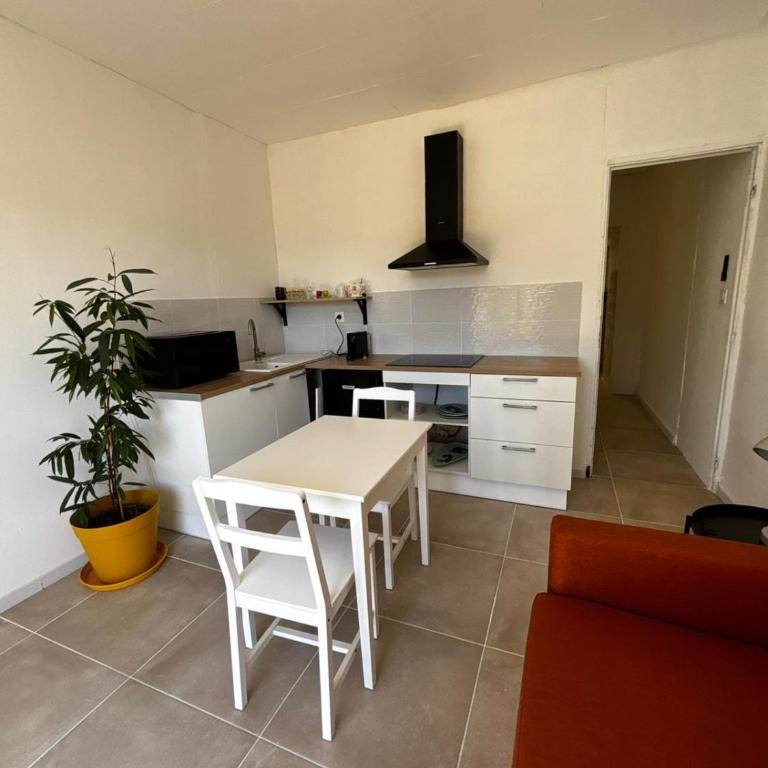 Appartement proche centre-ville avec jardin - Appartement 2 Chambres - 15