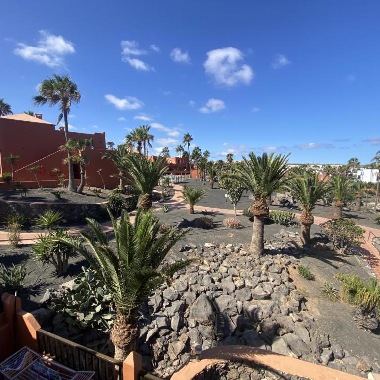 Small&Sunny WiFi Premium vivienda vacacional - One-Bedroom Apartment - 19