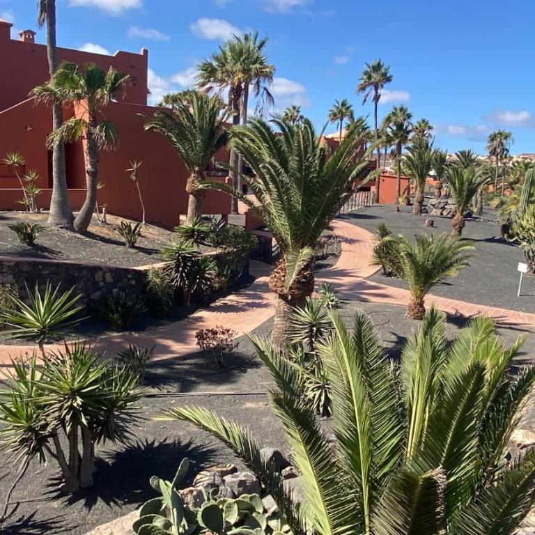 Small&Sunny WiFi Premium vivienda vacacional - One-Bedroom Apartment - 18