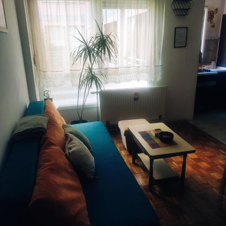 Sunny Banja Luka - Apartman sa 1 Spavaćom Sobom - 22