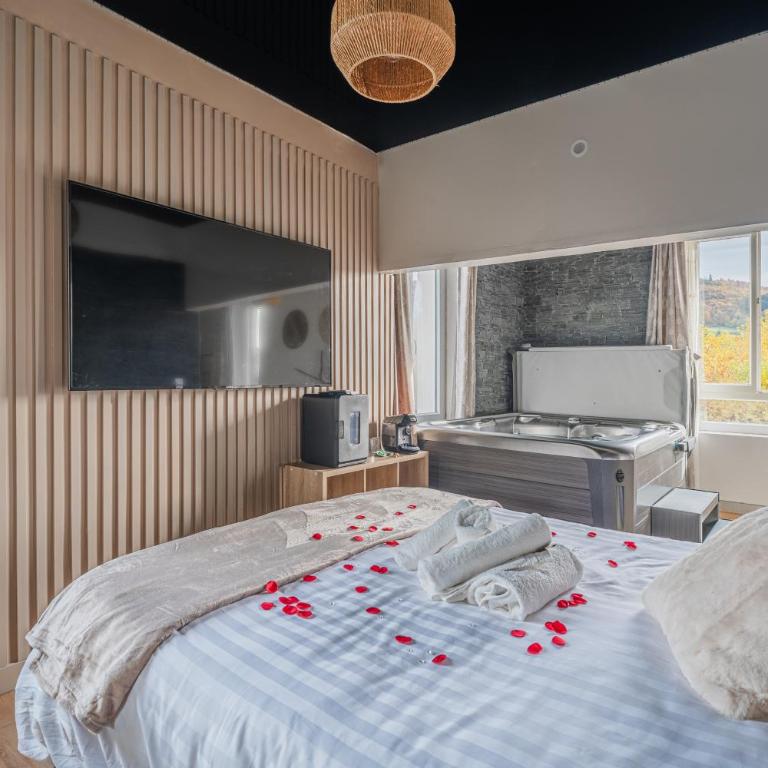 Cocoon du Lac Charavines jacuzzi-wifi-parking - Appartement 1 Chambre - 7