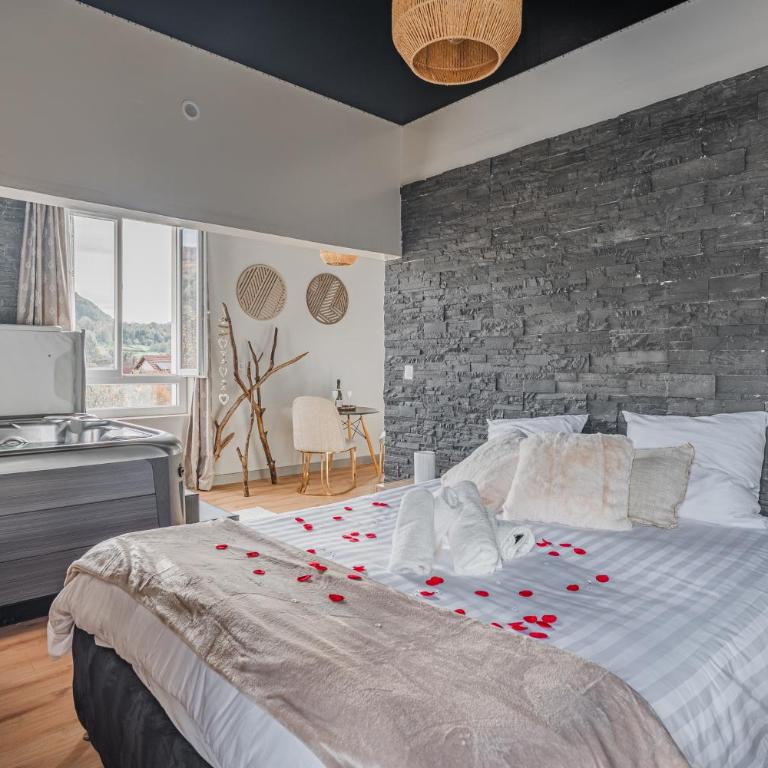 Cocoon du Lac Charavines jacuzzi-wifi-parking - Appartement 1 Chambre - 11