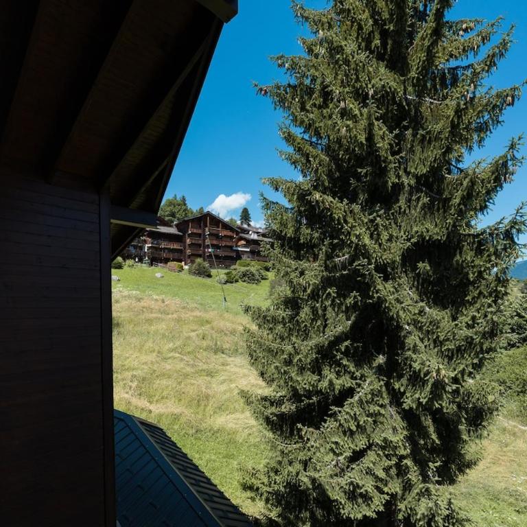 2 bedroom apartment, - Appartement 2 Chambres - 25