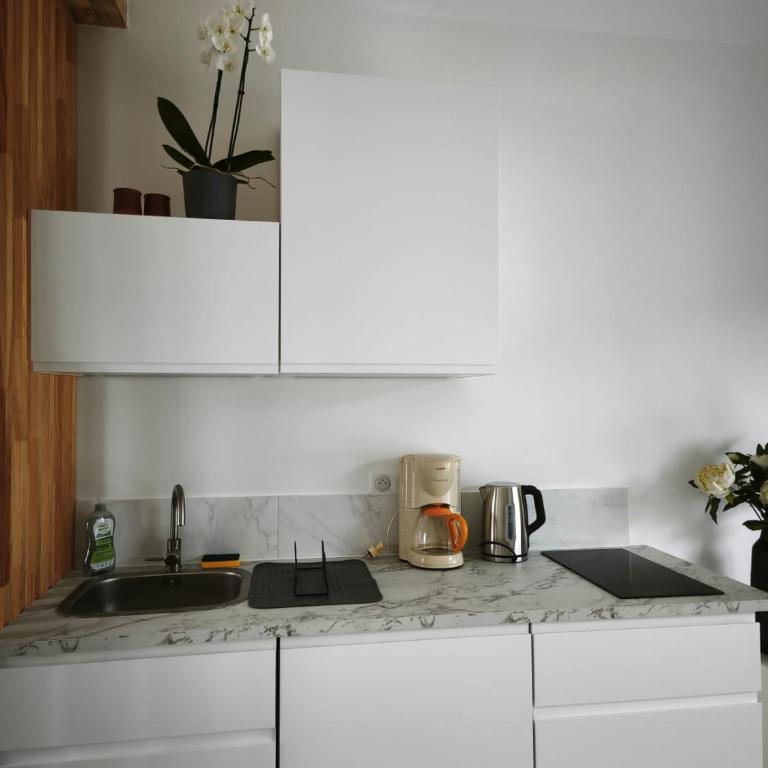 Grand studio mitoyen, calme et indépendant - Forêt et plages à Anglet - Apartment mit 1 Schlafzimmer - 9