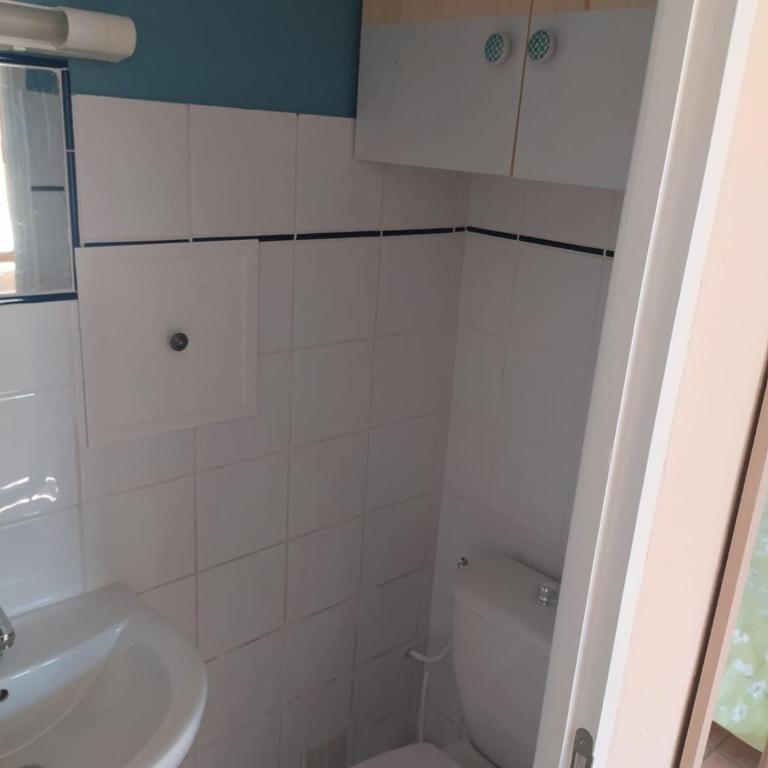Studio isolated in a natural case - Appartement 1 Chambre - 6