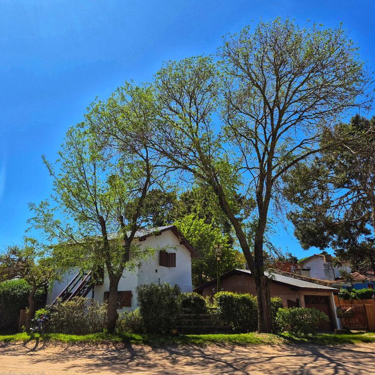 Casa Che - Villa Gesell - Two-Bedroom Apartment - 1
