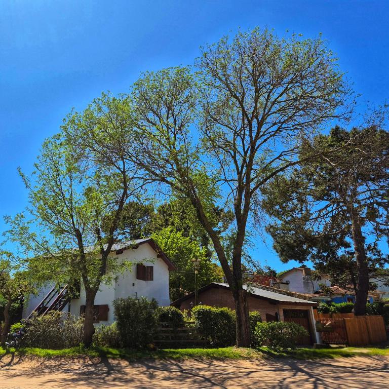Casa Che - Villa Gesell - Two-Bedroom Apartment - 25