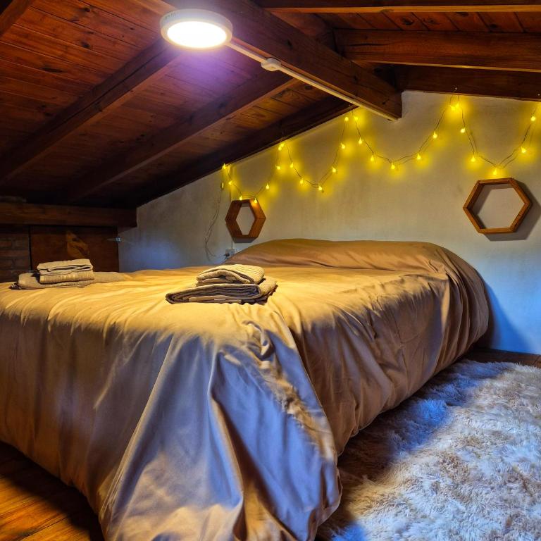 Casa Che - Villa Gesell - One-Bedroom Apartment - 28