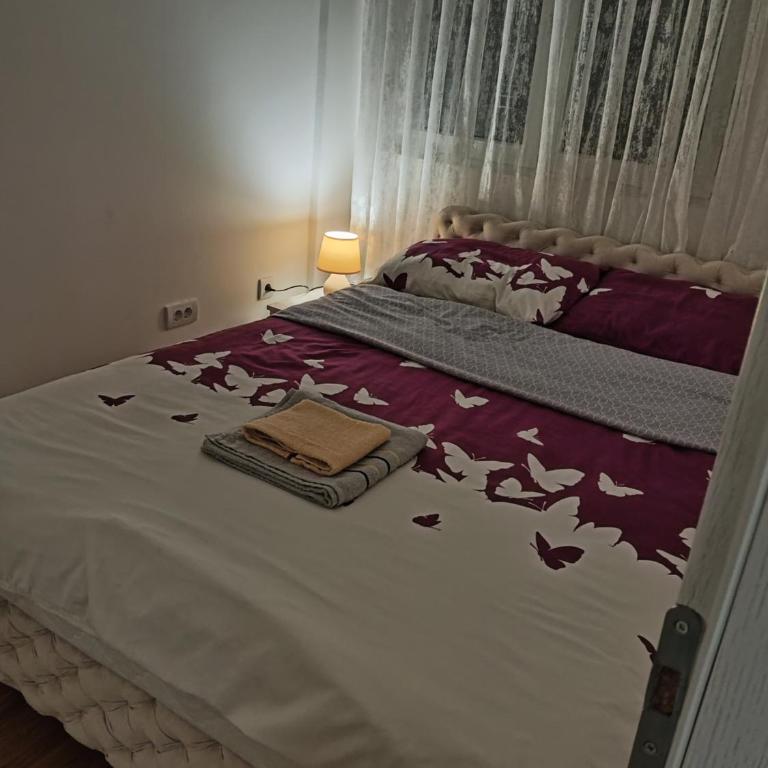 Markovic san - Apartman sa 1 Spavaćom Sobom - 1