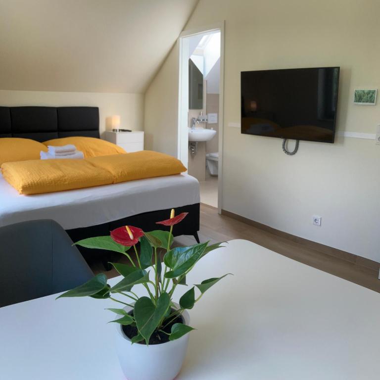 LiRa am Faberwald - Studio Apartment with Queen Bed - 2