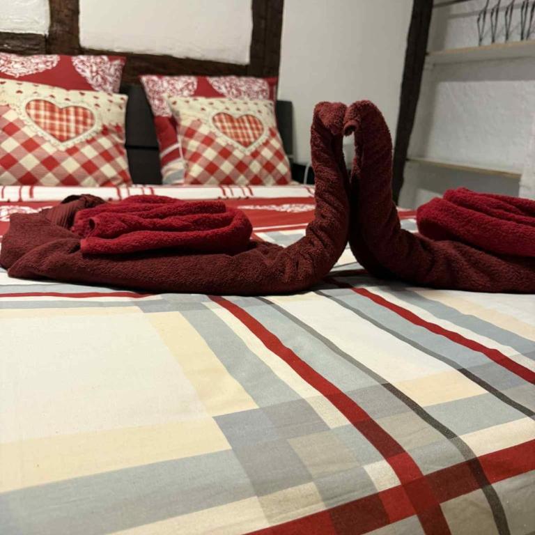 Le petit nid de cigogne - Apartamento de 2 dormitorios - 44