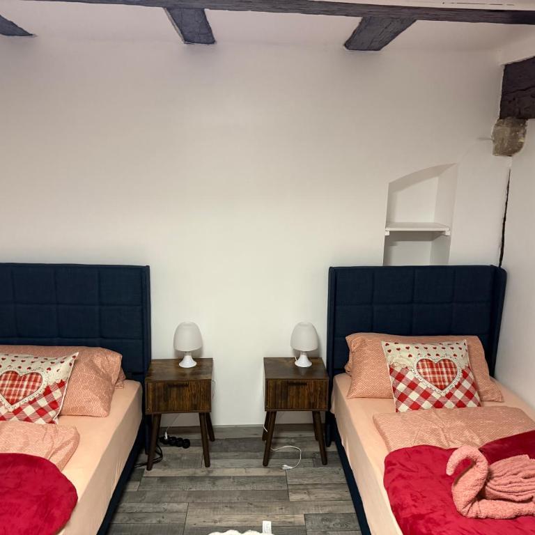 Le petit nid de cigogne - Apartamento de 2 dormitorios - 40