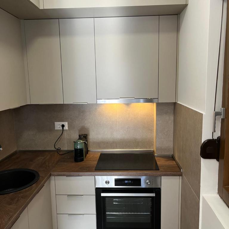 Apartman Lux M Residence PG - Apartman sa 1 Spavaćom Sobom - 10