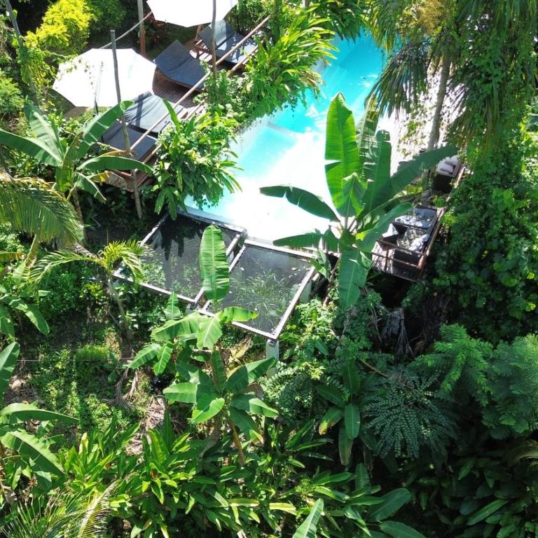 The Valley Tayrona hostel- A social jungle hostel - Cama individual en dormitorio mixto - 1