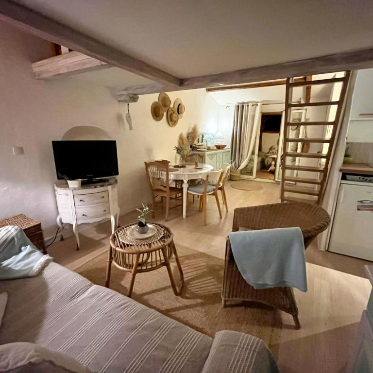 Joli cocon sous les toits au cœur de Vence et sa charmante terrasse tropezienne - Appartement 1 Chambre - 19