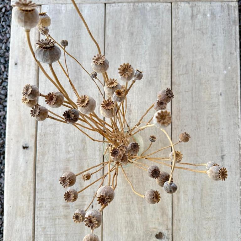 Tu lugar en Areco - Apartamento de 1 dormitorio - 3