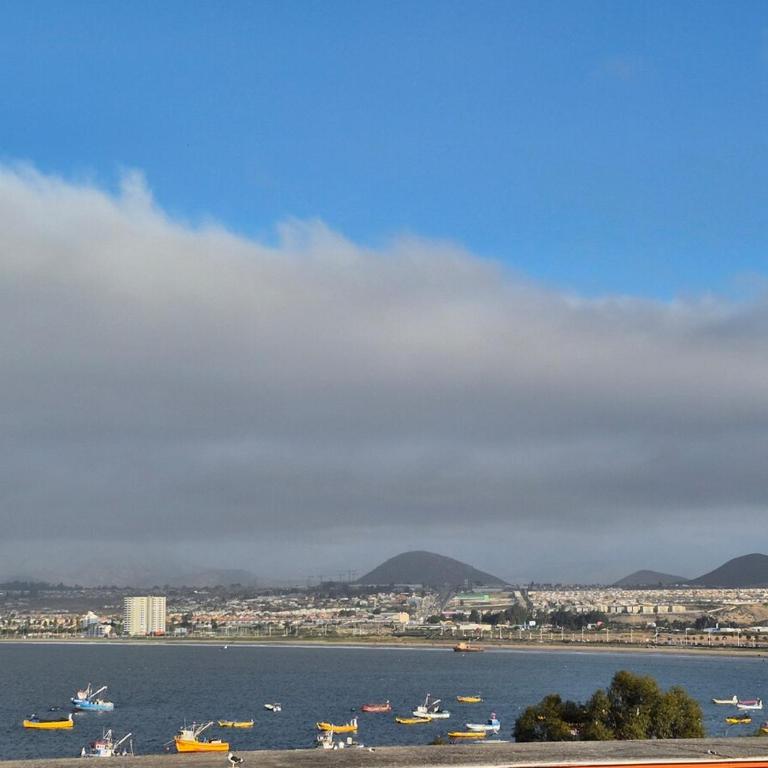 modern apartment excellent location coquimbo - One-Bedroom Apartment - 11
