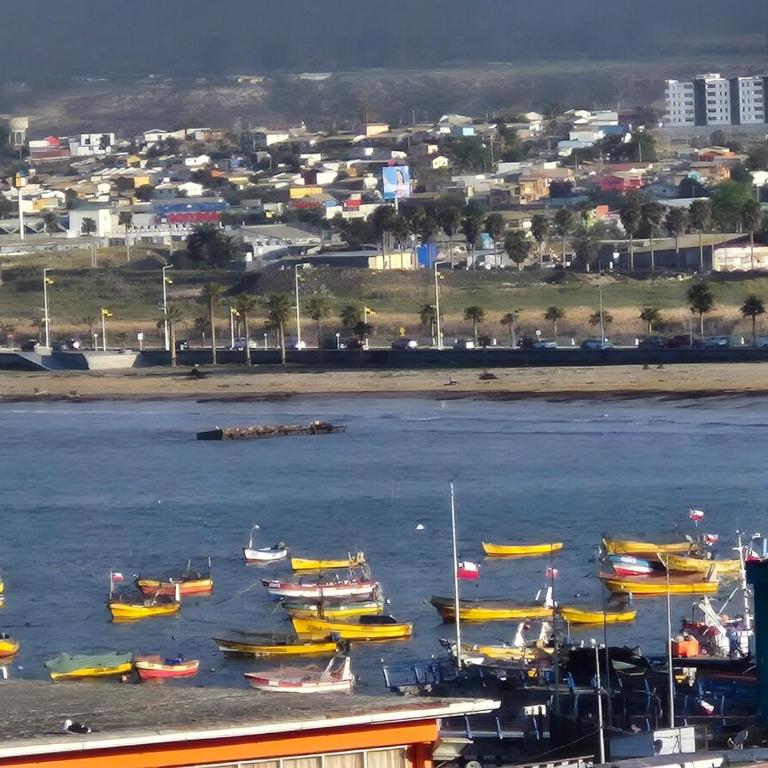 modern apartment excellent location coquimbo - One-Bedroom Apartment - 13