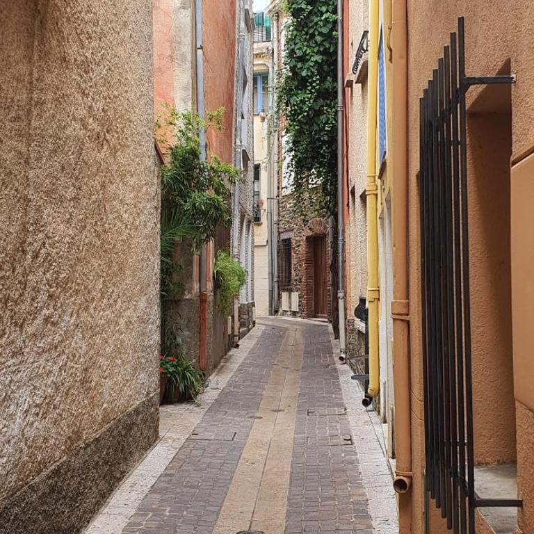 Comme sur un bateau, T2, vue sur mer, terrasse, plage - Apartment mit 1 Schlafzimmer – Nichtraucher - 28