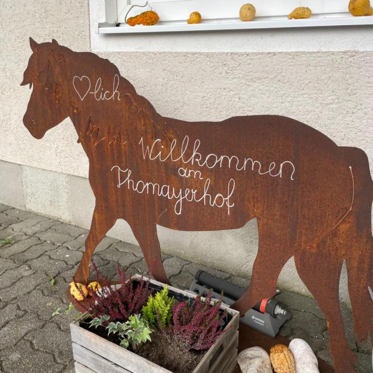 Pferdehof Thomayer - Apartment mit 2 Schlafzimmern - 25