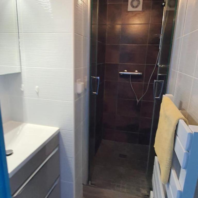 Comme sur un bateau, T2, vue sur mer, terrasse, plage - Apartment mit 1 Schlafzimmer – Nichtraucher - 16