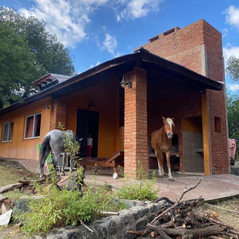 El Paraíso de las Chacras - Two-Bedroom Chalet - 1