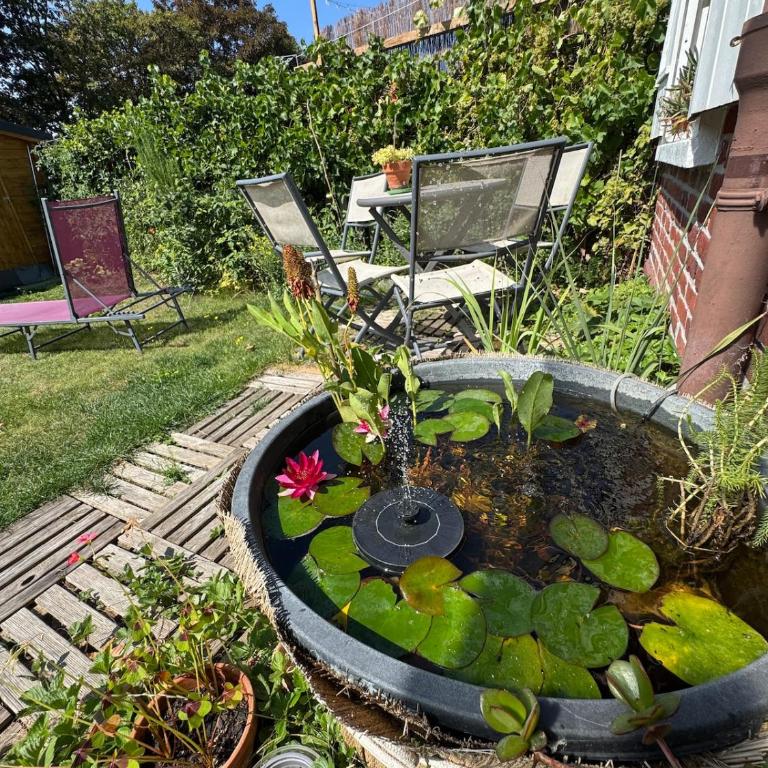 Charming 2 bedroom house beautiful garden and patio - Casa con 2 Camere da Letto - 11