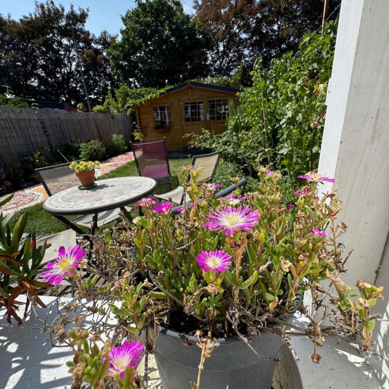 Charming 2 bedroom house beautiful garden and patio - Casa con 2 Camere da Letto - 17