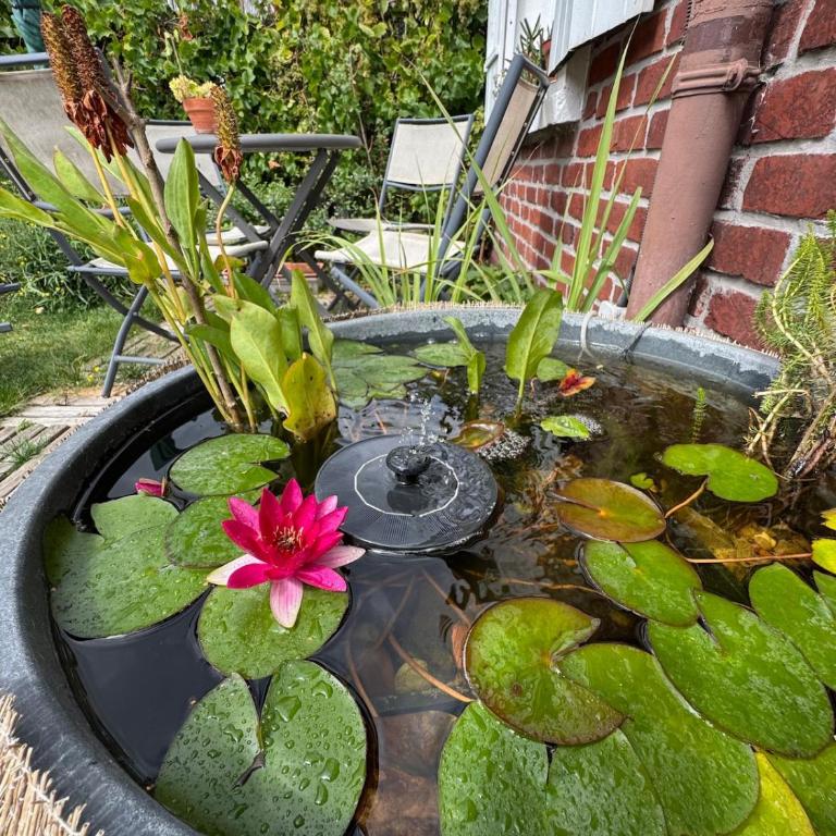 Charming 2 bedroom house beautiful garden and patio - Casa con 2 Camere da Letto - 22