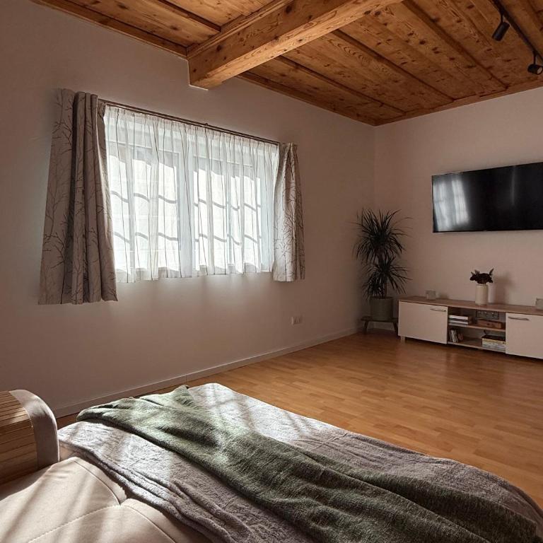 Traunapartment Altaussee - Apartment mit 1 Schlafzimmer - 28