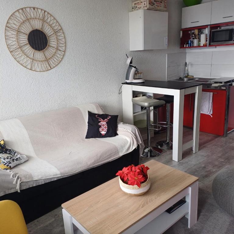 Appart PRA LOUP près des pistes - Appartement 1 Chambre - 17