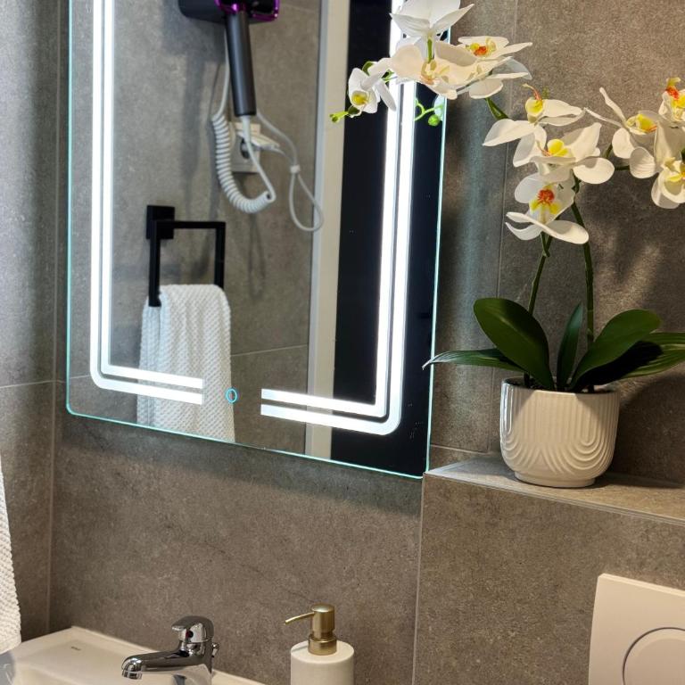 Urban Suite BL Apartment - Two-Bedroom Apartment - 11