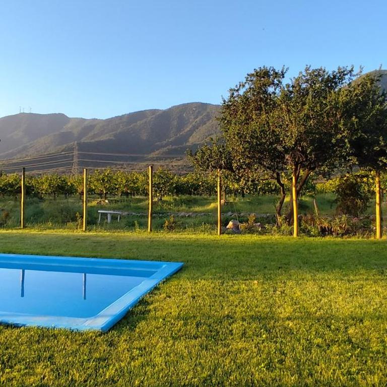Cabaña nueva en un campo de limones - One-Bedroom House - 12