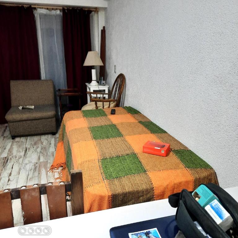 Bosque II - Apartamento de 1 dormitorio - 2