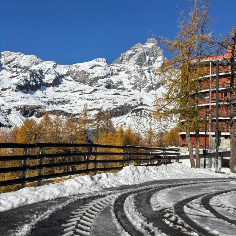 La casa sul bosco - Appartamento Monolocale - 3