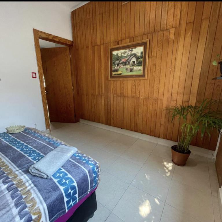Amatlan - Double Room - 2