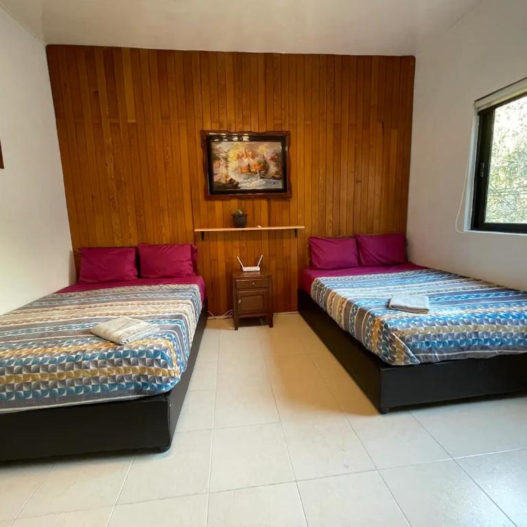 Amatlan - Twin Room - 13