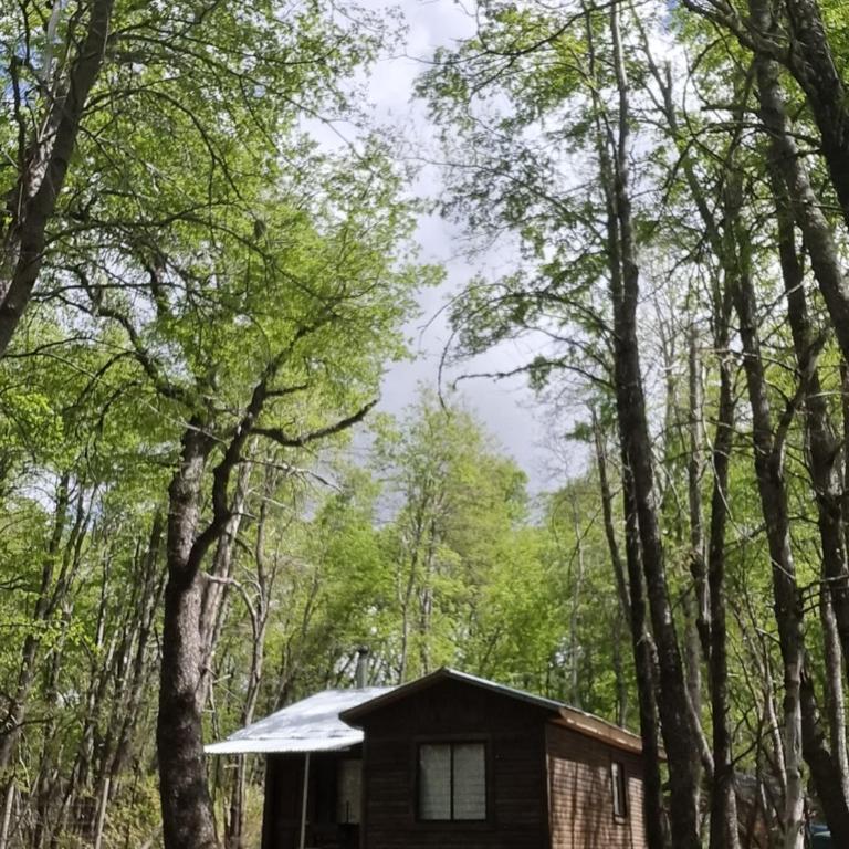 Cabañas Entrenieves - Casa de 2 dormitorios - 11