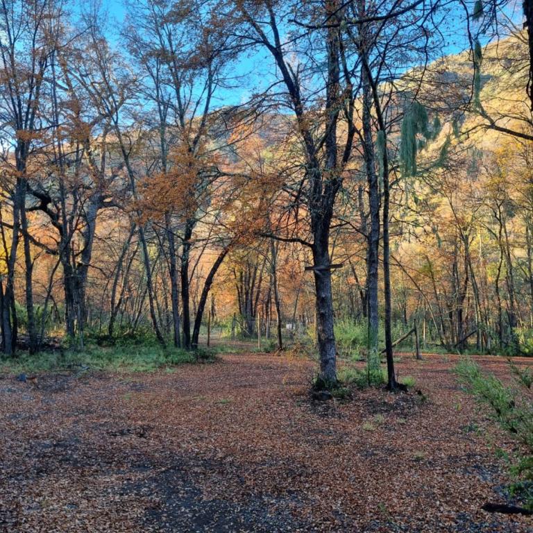 Cabañas Entrenieves - Casa de 2 dormitorios - 9