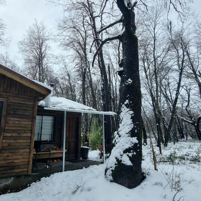 Cabañas Entrenieves - Casa de 2 dormitorios - 12