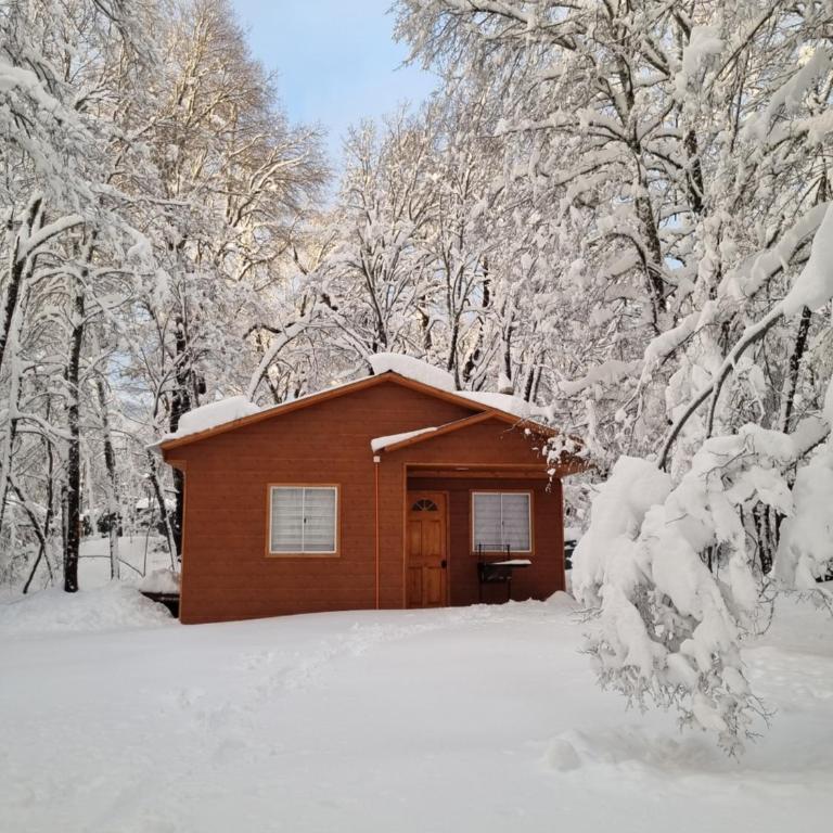 Cabañas Entrenieves - Casa de 2 dormitorios - 7