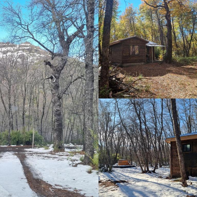 Cabañas Entrenieves - Casa de 2 dormitorios - 18