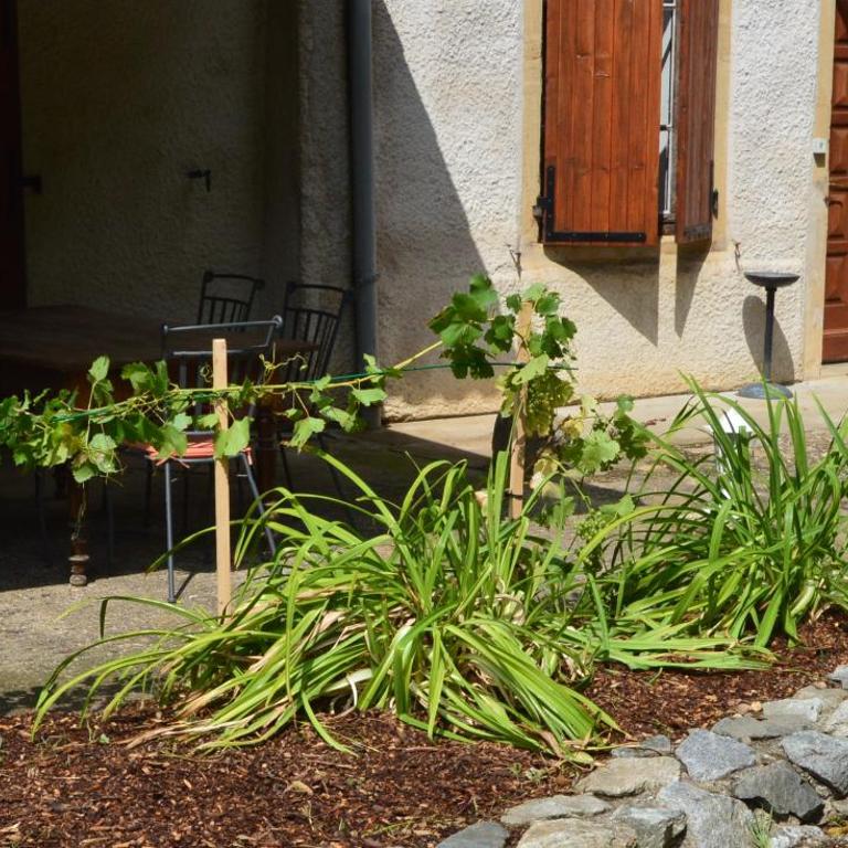 Le souffle des Acacias - Villa 3 Chambres - 15