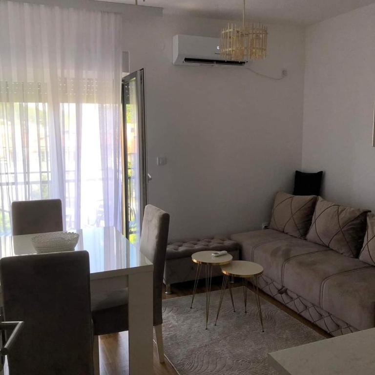 Markovic san - Apartman sa 1 Spavaćom Sobom - 10