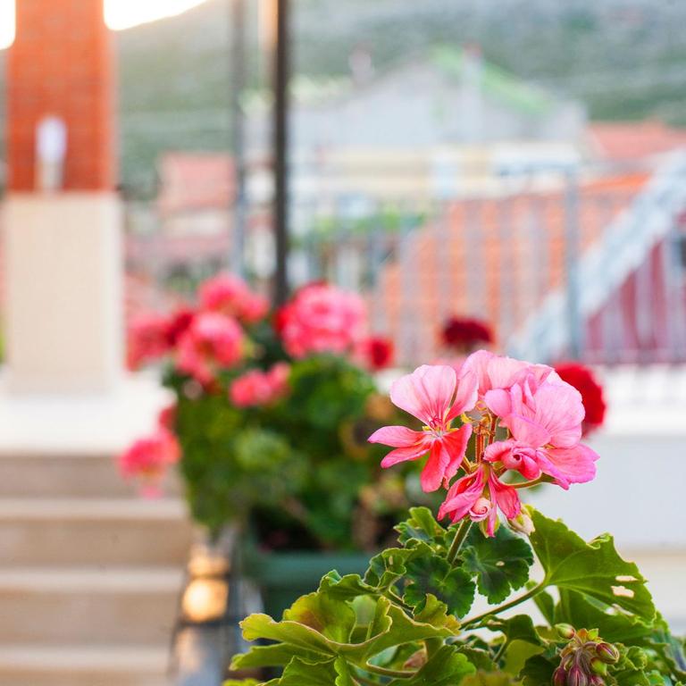 Apartments Lovori-Lorbe - Apartman sa 2 Spavaće Sobe - 11