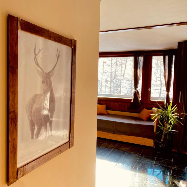 Charlotte Lodge 33 - Appartamento Monolocale - 4
