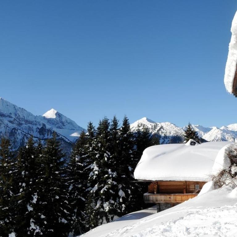 Brandstatt Alm - Ferienhaus - 5