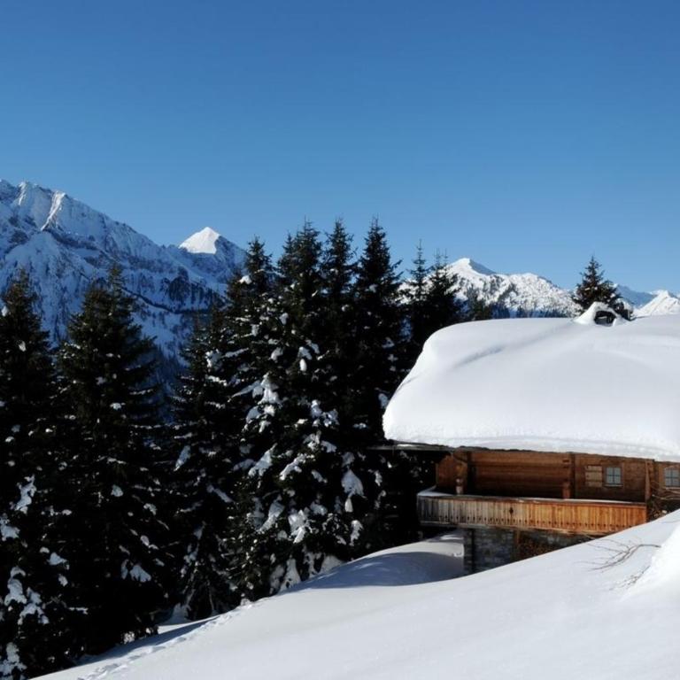 Brandstatt Alm - Ferienhaus - 4