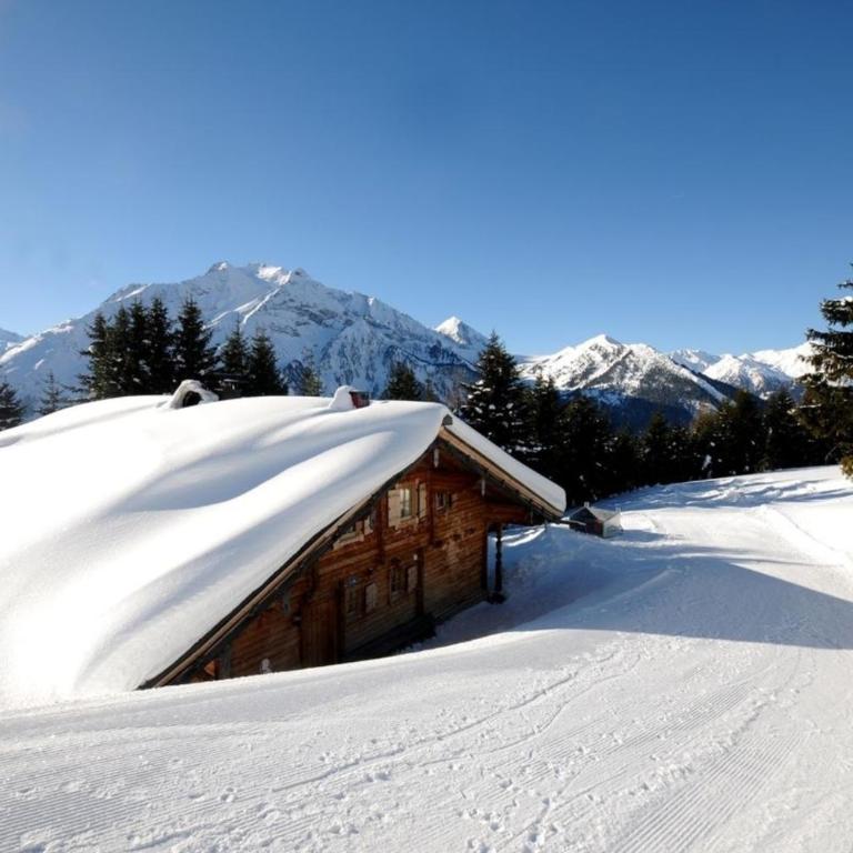 Brandstatt Alm - Ferienhaus - 6